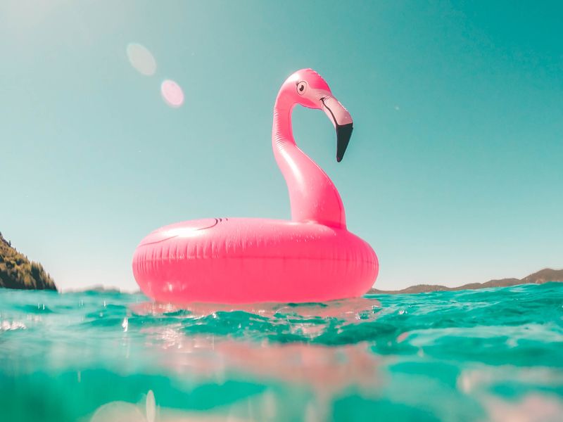 A flamingo float in the sea.