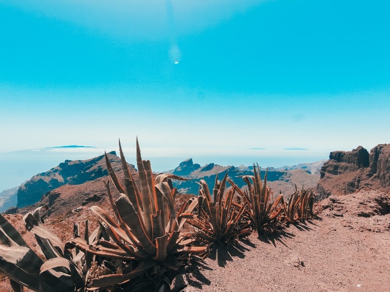 There's lots of place to hike in Northern Tenerife.