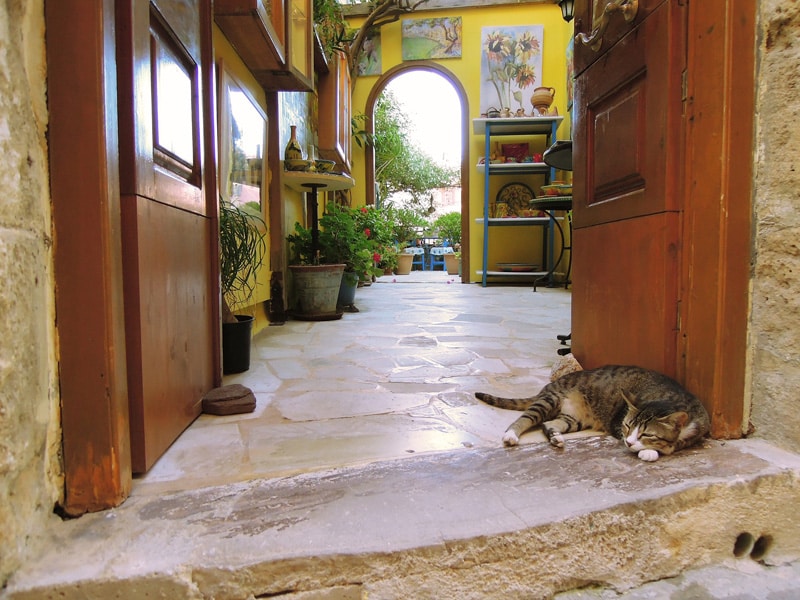 a cat sleeps in a doorway in greece