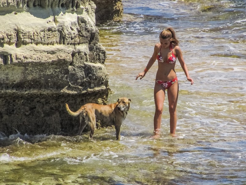 a woman and stray dog in cyprus