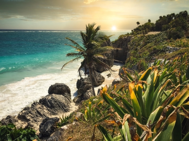 A beach on the Riviera Maya
