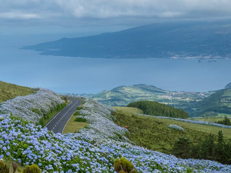 A road in the Azores