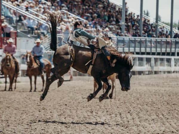 Montana Vs Wyoming: Which US State To Visit?