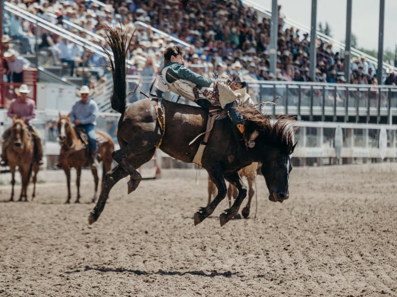Cowboy rodeo in Wyoming